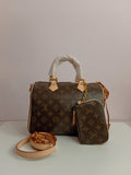 LV speedy 25 in brown-beige